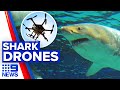 Drones funding to reduce shark attacks risk | 9 News Australia