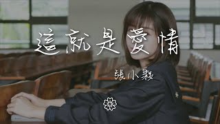 張小夥 - 這就是愛情『只要能把愛抓牢 愛過的人一定知道』【動態歌詞Lyrics】