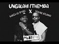 Kabza De Small X Young Stunna X Mthunzi - Ungalahli i'Themba