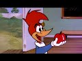 Woody Goes to School | 2.5 Hours of Classic Episodes of Woody Woodpecker