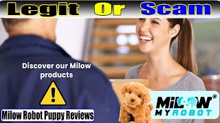 Milow Robot Puppy Reviews: Is It REALLY Legit?