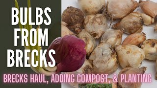 🌱🌱🌱 Plant Haul || Bulbs From Breck's || Planting Spring Bulbs in the Winter || Planting Spring Bulbs