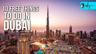 10 Free Things To Do In Dubai | Curly Tales