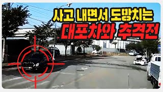 15776회. 전직 격투기(MMA) 선수 잘못 건드리면 이렇게 됩니다