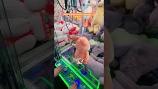 Win Every Time With This Secret Claw Machine Hack Clawmachinetips Clawmachine Arcade