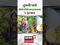 તુલસી પાસે ઘીનો દીવો પ્રગટાવવાના 5 ફાયદા tulsi ghee divo gujarati samachar n18s shorts