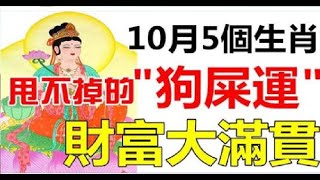 10月有如財神在身旁，中獎上千萬，抱著錢睡覺，恭喜這些生肖！ | 星座生肖