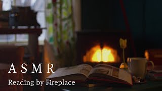 [ASMR]아늑한 장작불 옆에서 책 읽기 | Ambience Sound : Reading by Fireplace|공부할때 들어보세요|Relax,study,sleep