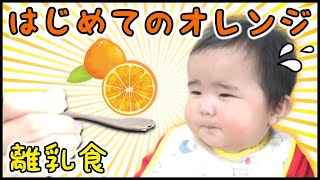 【赤ちゃん】10ヶ月の離乳食★はじめてのオレンジですっぱい顔【後期食】