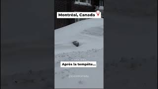 Quand ton rétroviseur est le seul survivant de la tempête à Montréal 😂