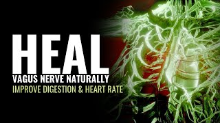 Heal Vagus Nerve Naturally | Relax and De-Stress | Improve Digestion Heart Rate and Respiratory Rate