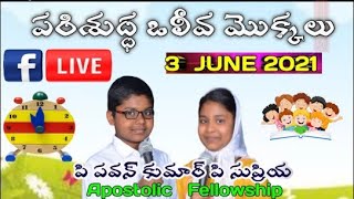 #masterpavankumar 03-05-2021|| With P.Pavankumar , P.Supriya|| పరిశుద్ధ ఒలీవ మొక్కలు