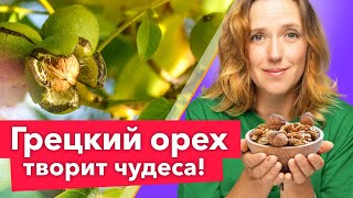 САМЫЙ ПОЛЕЗНЫЙ ОРЕХ! Уникальные свойства и секреты выращивания грецкого ореха