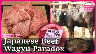 Japanese Wagyu goes too pricy for locals due to inbound demands