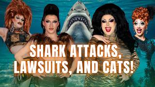 Shark Attacks, Lawsuits, and Cats!