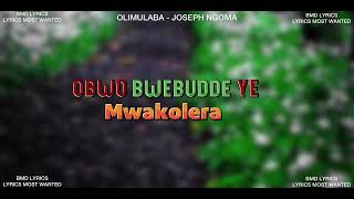 OLIMULABA short lyrics video by bmdlyrics