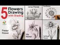 5 Flowers Drawing with Pencil Shading Easy Step By Step