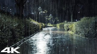 밤에 산책로에서 부드러운 빗소리 ASMR | 수면을 위한 편안한 빗소리, 스트레스 해소