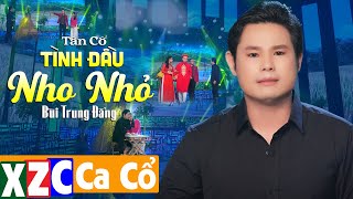 Tân Cổ Tình Đầu Nho Nhỏ - Bùi Trung Đẳng | Ca Cổ Miền Tây Hay Nhất