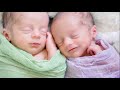 இரட்டை குழந்தைகள் science how twin baby form in womb