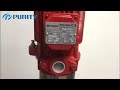 purity vertical multistage jockey fire pump