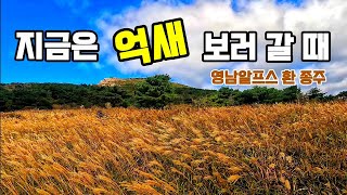 영남알프스 환종주  36km 배내고개 주차장 / 능동산 / 천황산 / 재약산 / 죽전마을 / 청수우골  / 채이등 / 함박등 / 영축산 / 신불산 / 간월산 / 배내봉 억새