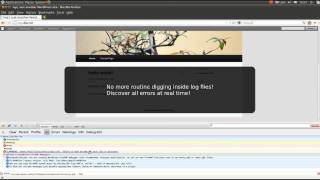 WordPress FirePHP Debugger