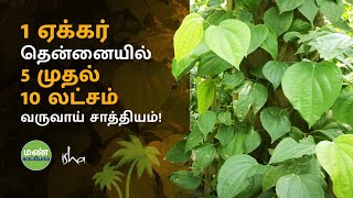 லட்சங்களை கொட்டி தரும் தென்னையில் பல பயிர் சாகுபடி கருத்தரங்கு