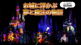 【縦動画】Celebrate ! Tokyo Disneyland　ミッキーがTDLを巡る旅をシンデレラ城へ華やかにプロジェクションマッピング【ディズニーランド】