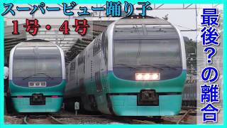 【SVO】251系週末臨時＝スーパービュー踊り子1号・4号運転休止へ