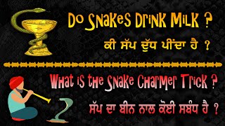 Do Snakes Drink Milk ?  ||  ਕੀ ਸੱਪ ਦੁੱਧ ਪੀਂਦਾ ਹੈ  ||  ਕੀ ਸੱਪ ਦਾ ਬੀਨ ਨਾਲ ਕੋਈ ਸਬੰਧ ਹੈ  ||