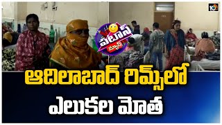 ఆదిలాబాద్ రిమ్స్ లో ఎలుకల మోత | Rats In RIMS Hospital Adilabad | Patas News | 10TV