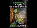 하루30초 뇌스트레칭 치매예방 메모리피트니스 💚 당신의 시간을 되돌리세요 뇌교육 뇌체조 스트레스관리 집중력 알츠하이머 기억력향상 건망증예방 별빛바다 인지활동