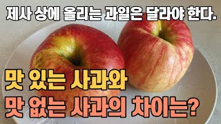 설날 맛있는 사과, 배, 감 고르는 방법을 알려드립니다.