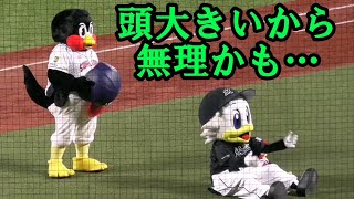 2022/5/31 つば九郎、マーくんの頭のサイズを測って空中くるりんぱ