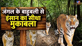 LIVE: जंगल के बाहुबली से इंसान का सीधा मुकाबला  |  Drishyam | Latest NewsLive |#TV9D