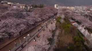 [경남 명소 - 창원시] 창원 진해군항제 항공 영상