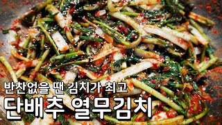 한국인은 김치만 있으면 밥 2공기죠, 맛있는 단배추 열무김치 만들기