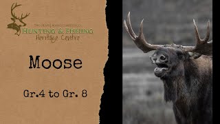 Moose Gr. 4-8