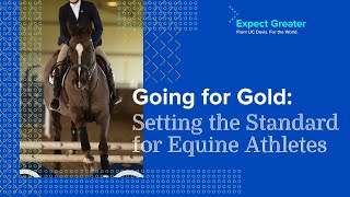 Going for Gold: Setting the Standard for Equine Athletes