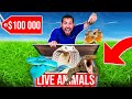 $100,000 Reptile UNBOXING! (Indonesia Import)