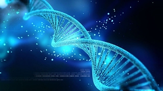 Everything your DNA can tell you