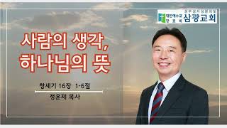 241106 수요예배-창세기16장1-6절-사람의 생각, 하나님의 뜻