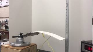 Shape Memory Alloy Morphing Wing