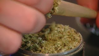 Cincinnati's marijuana decriminalization creates enforcement, expungement questions