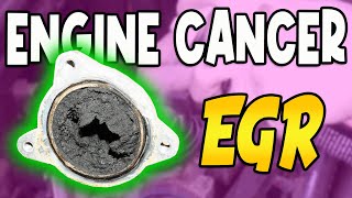 EGR - FIX PROBLEMS, SOLUTIONS, REVISION AND CLEANING - ENGINES CANCER