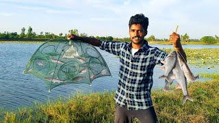 இத வச்சு இவ்ளோ மீன் பிடிக்கலாமா⁉️ | Fish hunting Using Fish Trap | Mr.Village Vaathi