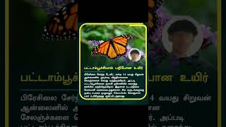 பட்டாம்பூச்சியால் பறிபோன உயிர் #tamilnews