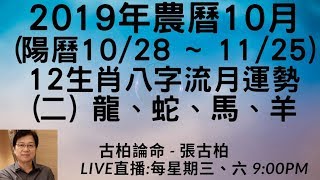 2019年農曆10月(陽曆10/28~11/25) 12生肖八字流月運勢 (二) 龍、蛇、馬、羊