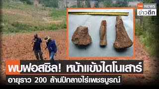 พบฟอสซิล! หน้าแข้งไดโนเสาร์ อายุราว 200 ล้านปีกลางไร่เพชรบูรณ์ | TNN ข่าวดึก | 9 เม.ย. 65